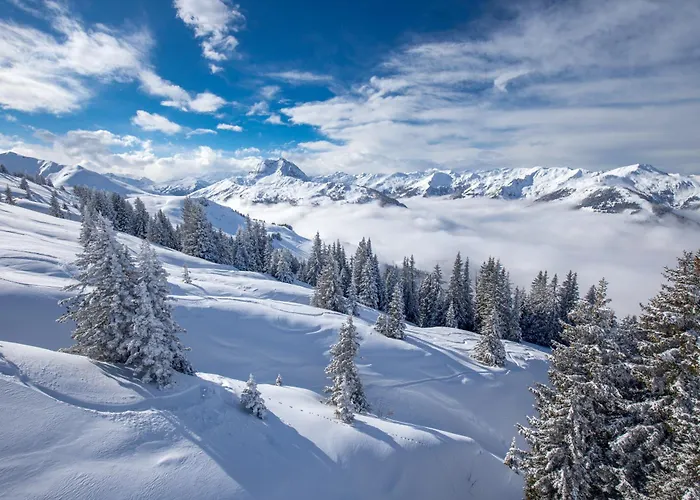 Der Erlacher Alpenrefugium 1874 Luxery & Privacy By Belle-stay *